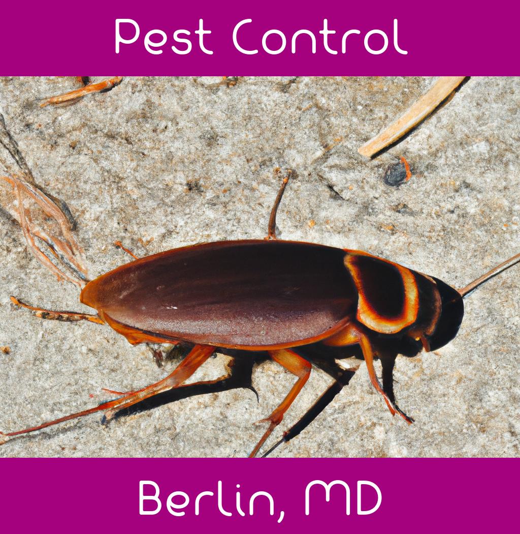 pest control in Berlin Maryland