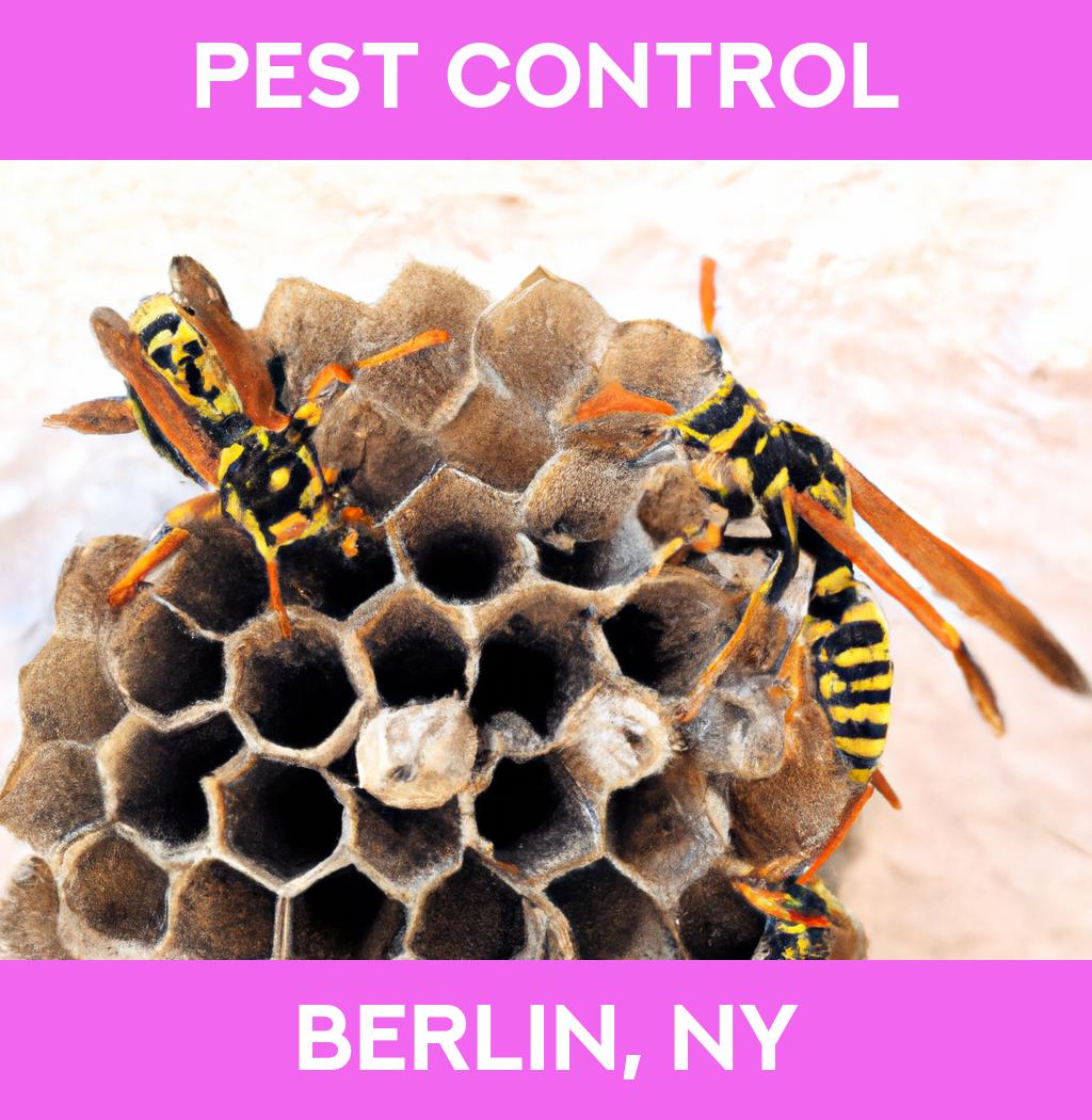 pest control in Berlin New York