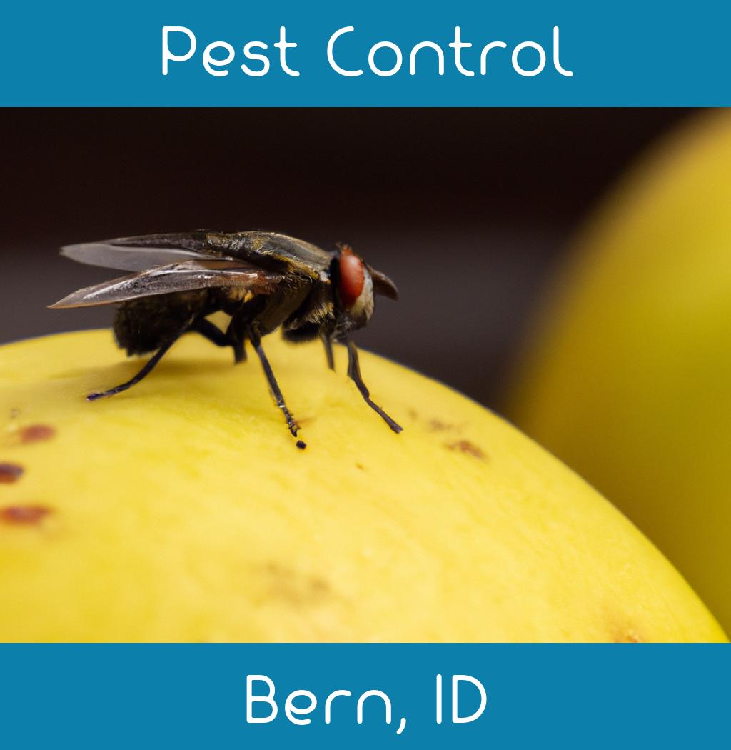 pest control in Bern Idaho