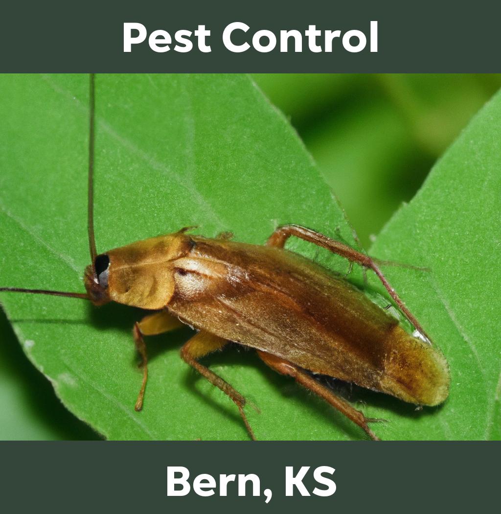 pest control in Bern Kansas