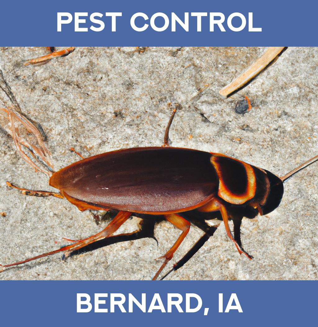pest control in Bernard Iowa
