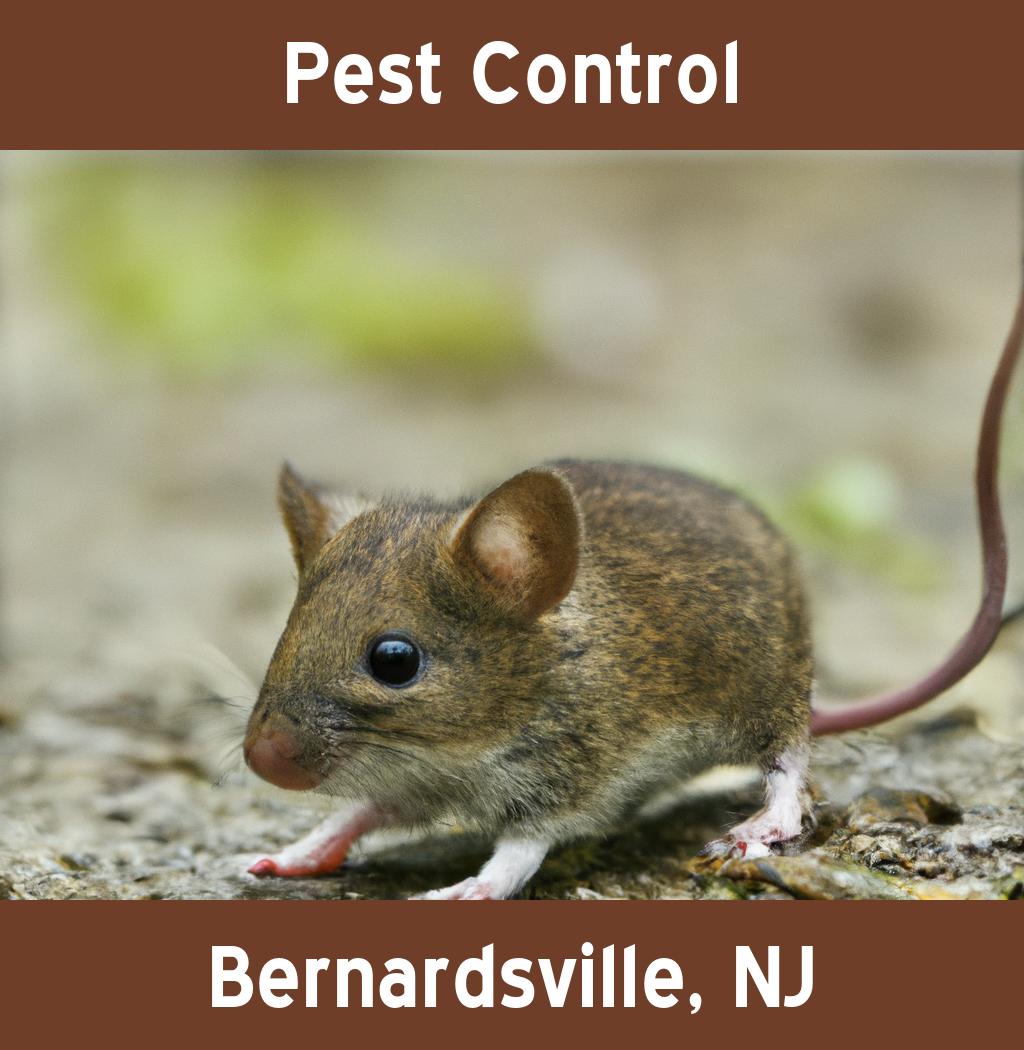 pest control in Bernardsville New Jersey
