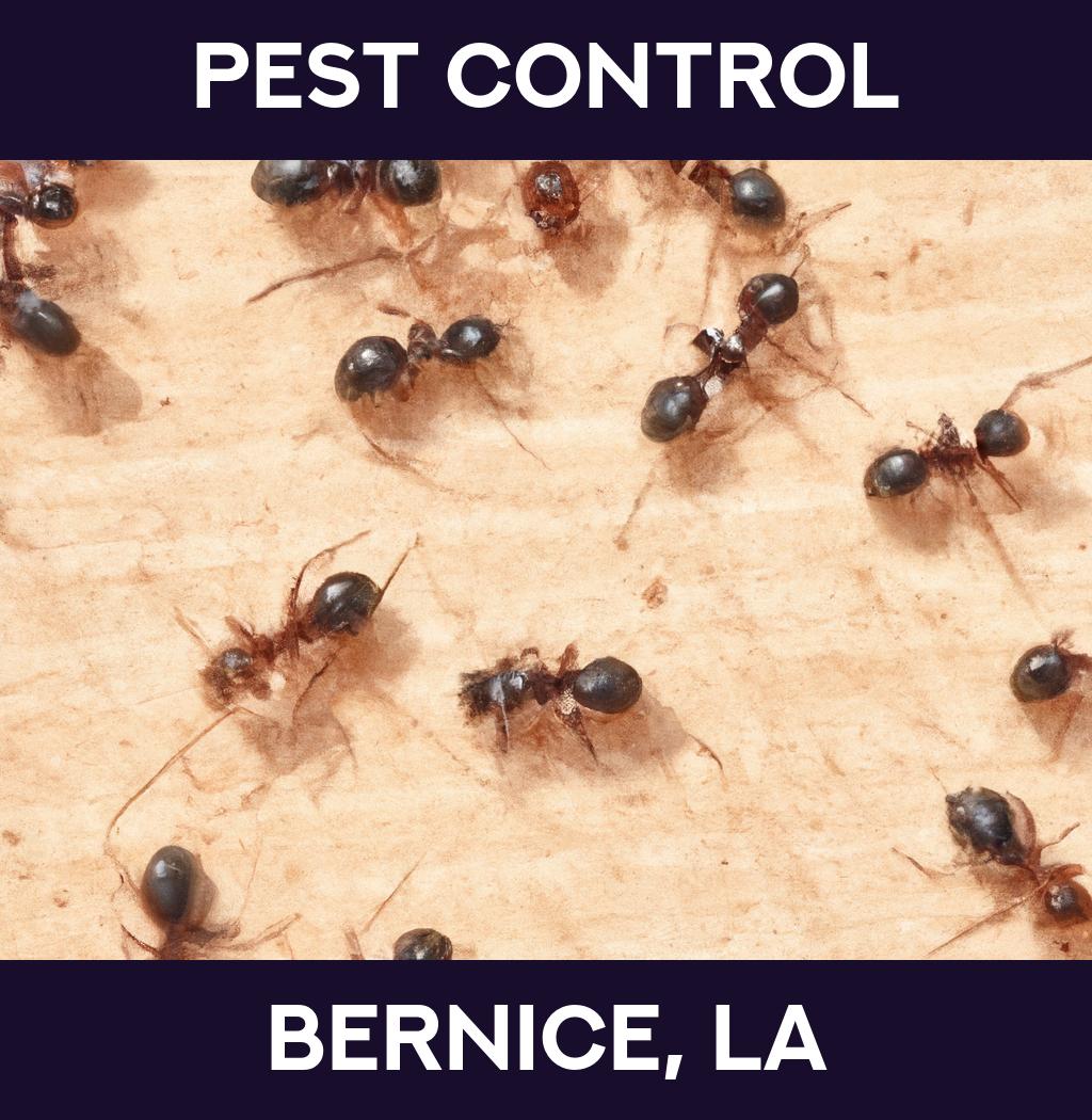 pest control in Bernice Louisiana