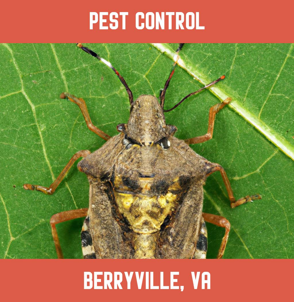 pest control in Berryville Virginia