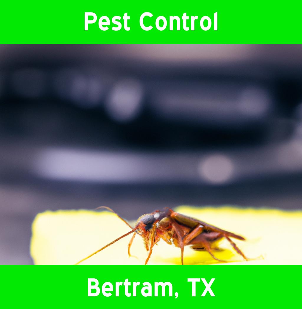 pest control in Bertram Texas