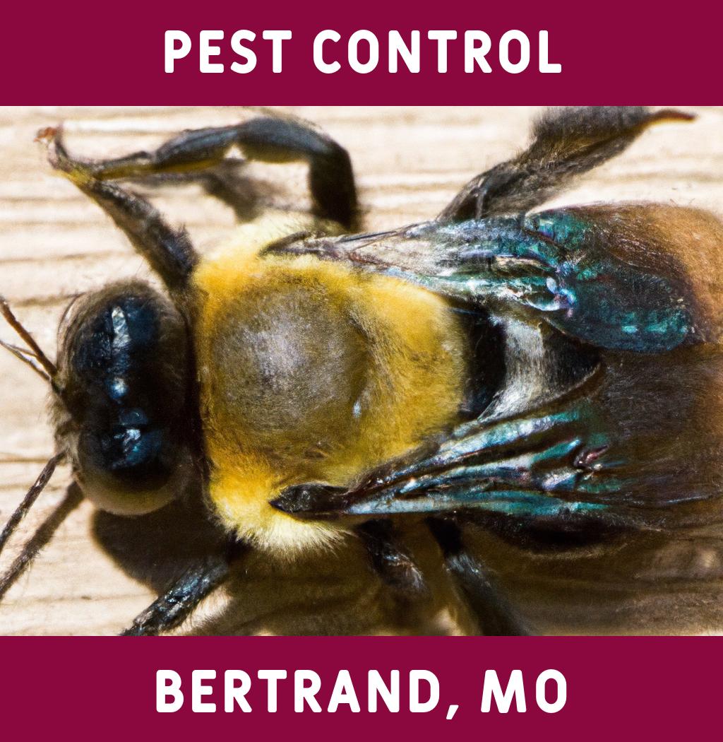 pest control in Bertrand Missouri