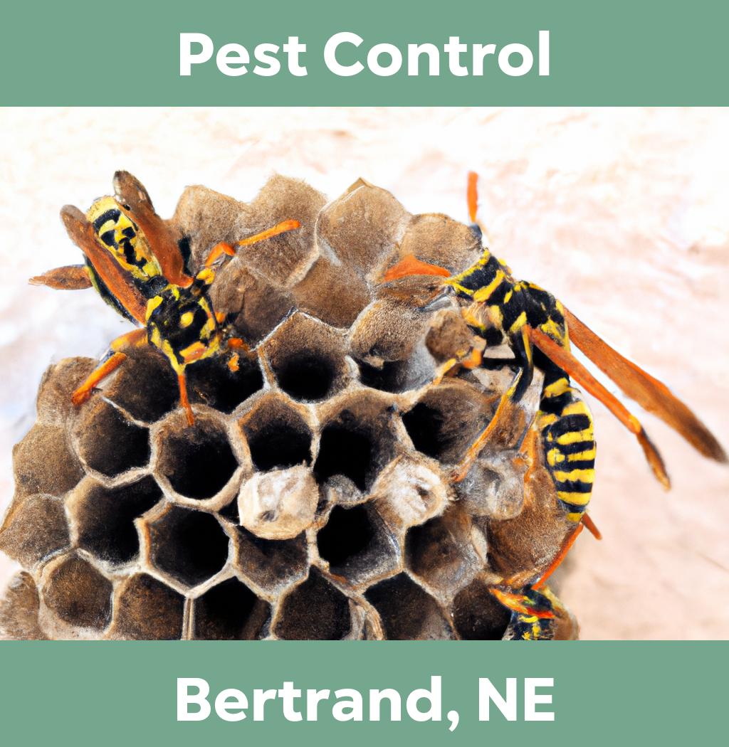 pest control in Bertrand Nebraska