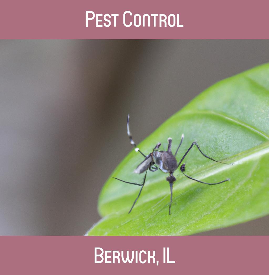 pest control in Berwick Illinois