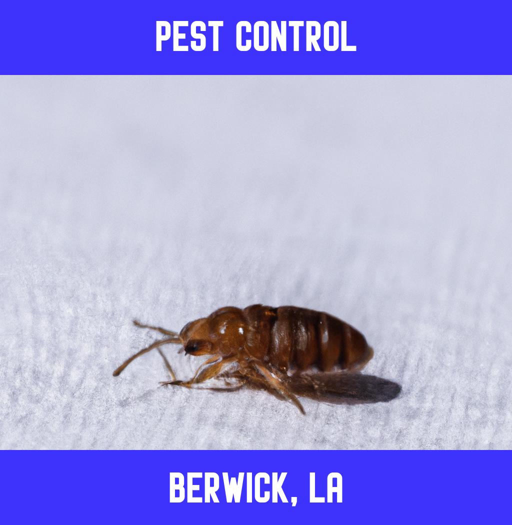 pest control in Berwick Louisiana