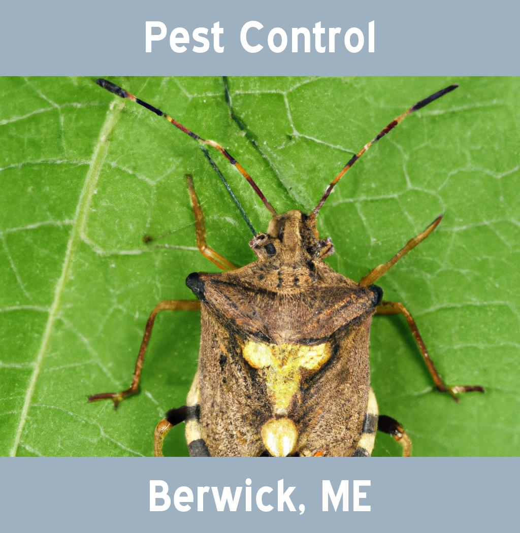 pest control in Berwick Maine