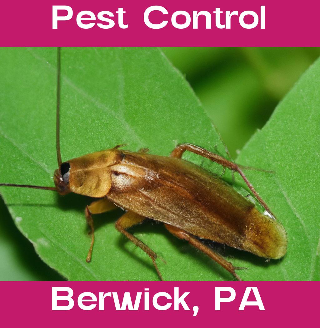 pest control in Berwick Pennsylvania