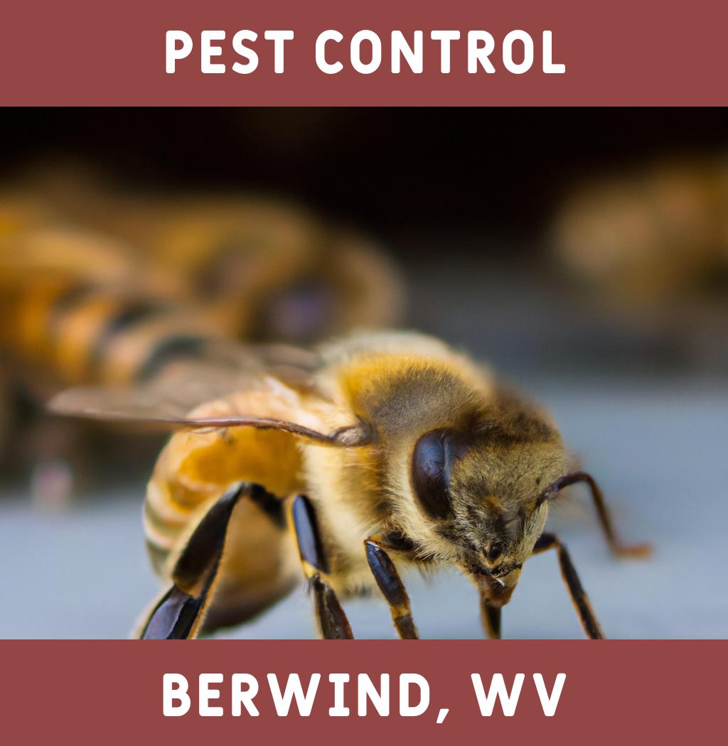 pest control in Berwind West Virginia