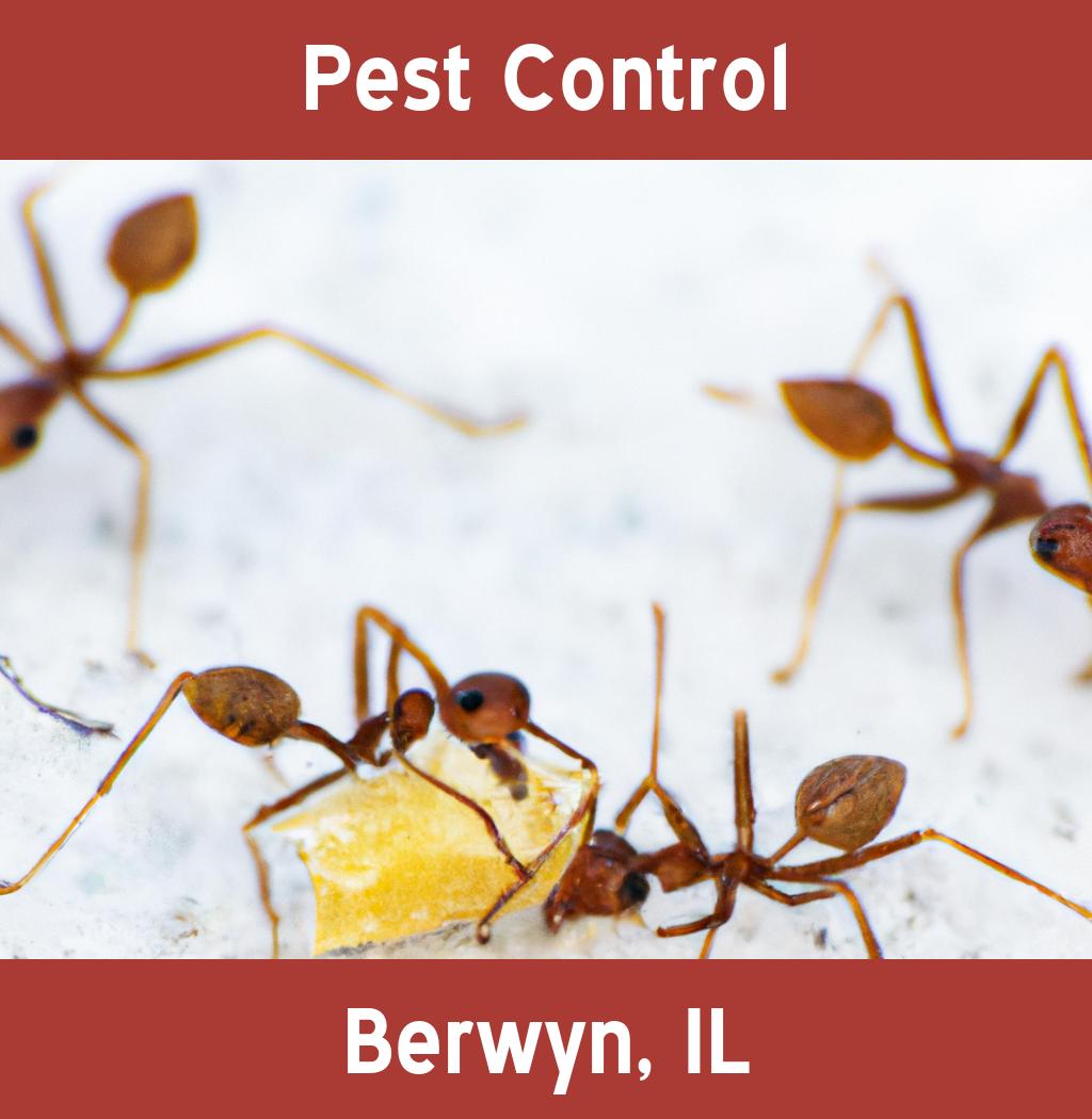 pest control in Berwyn Illinois