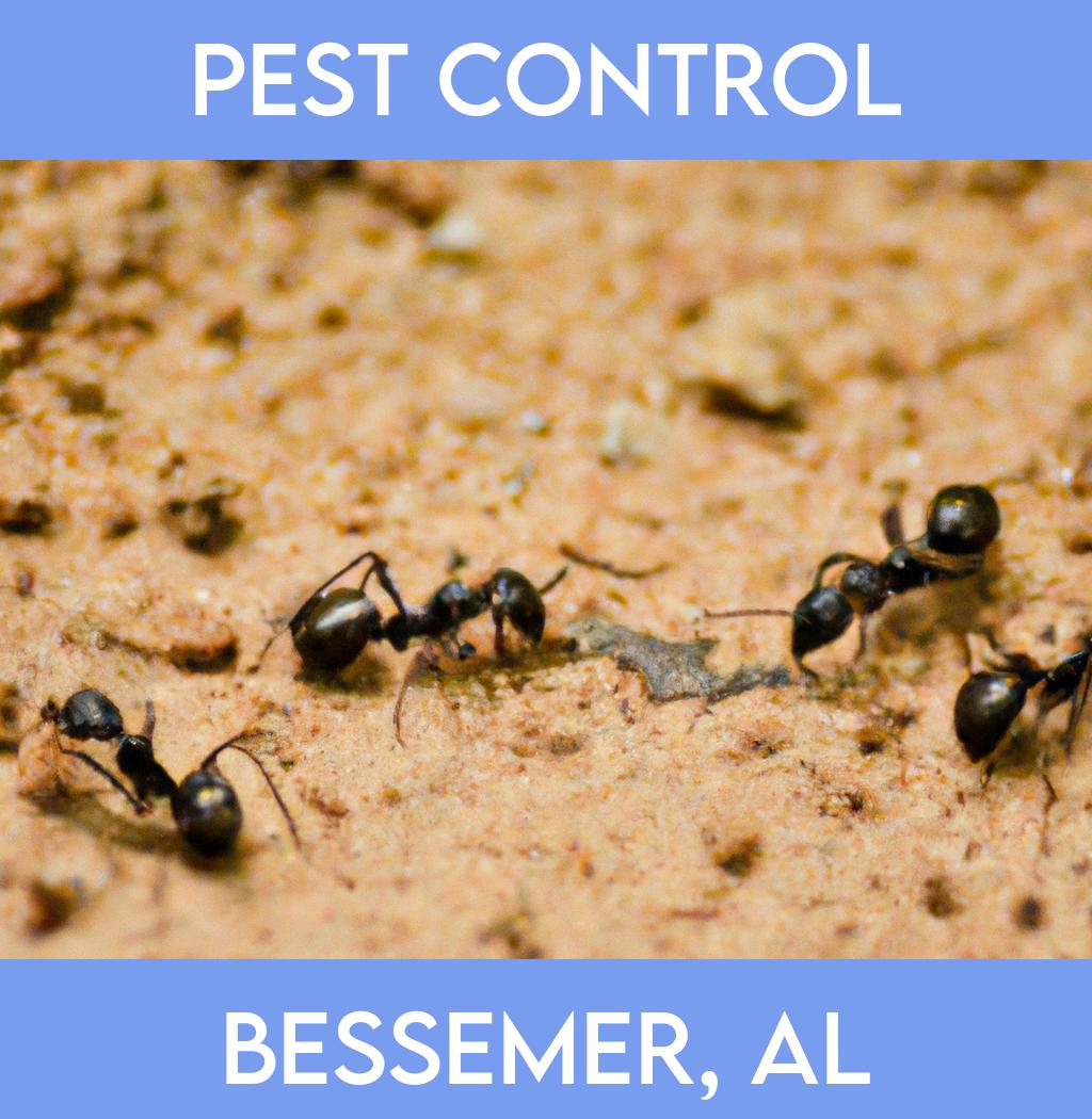 pest control in Bessemer Alabama