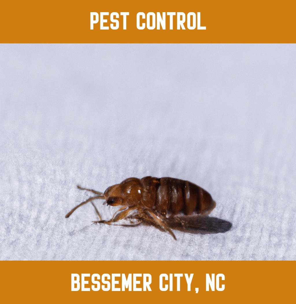 pest control in Bessemer City North Carolina