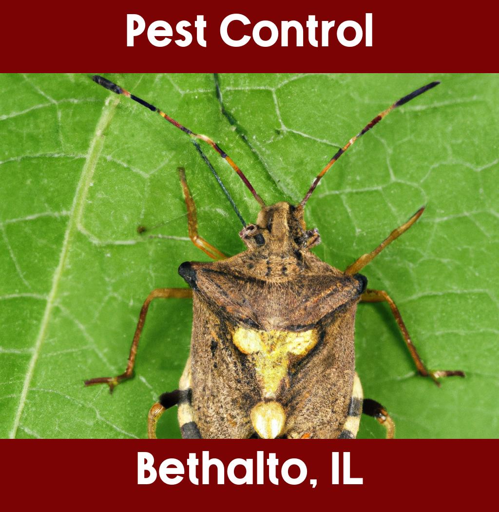 pest control in Bethalto Illinois