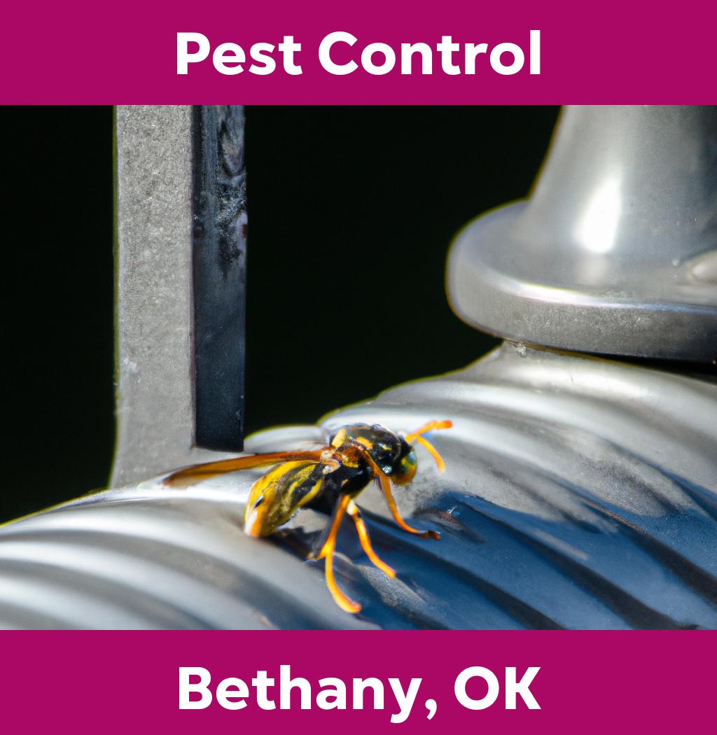 pest control in Bethany Oklahoma