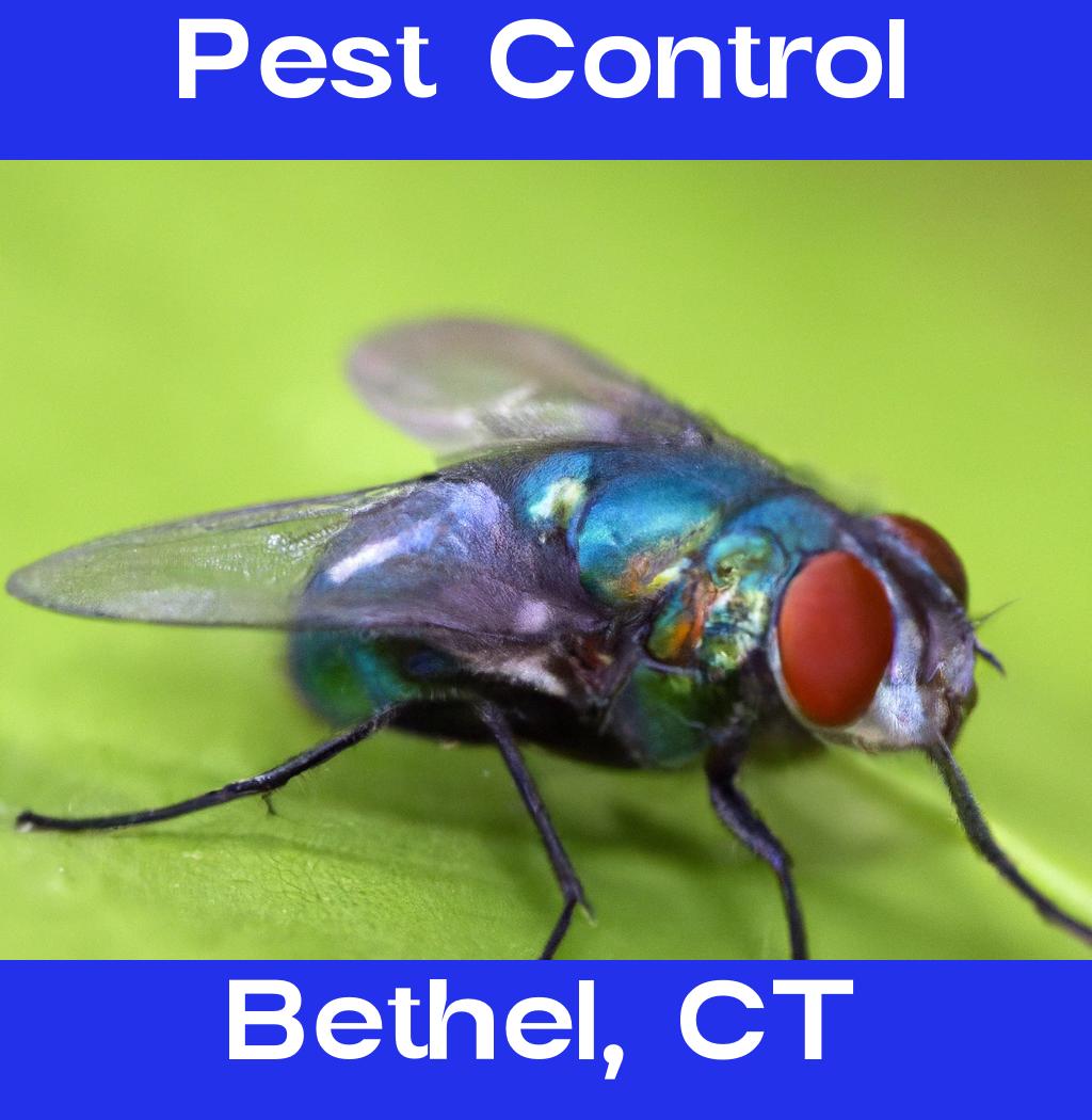 pest control in Bethel Connecticut