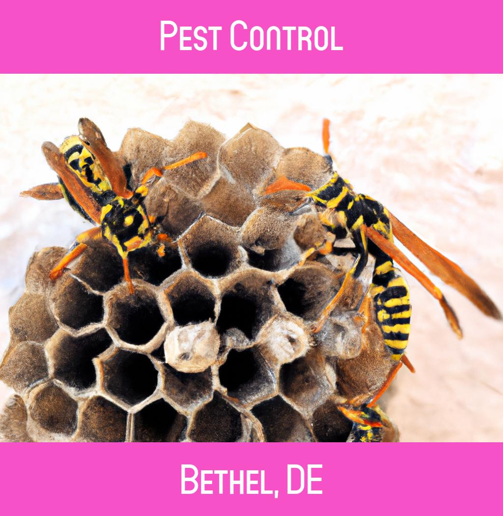 pest control in Bethel Delaware