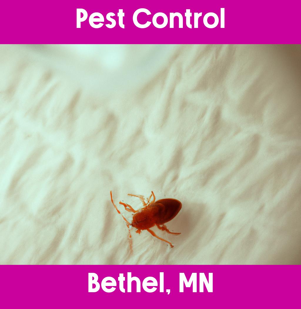 pest control in Bethel Minnesota