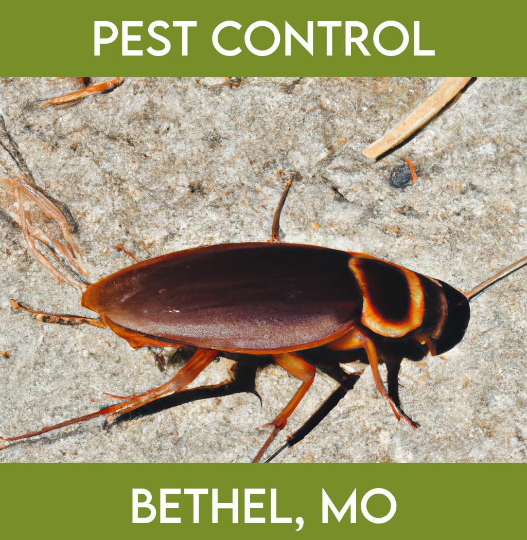 pest control in Bethel Missouri