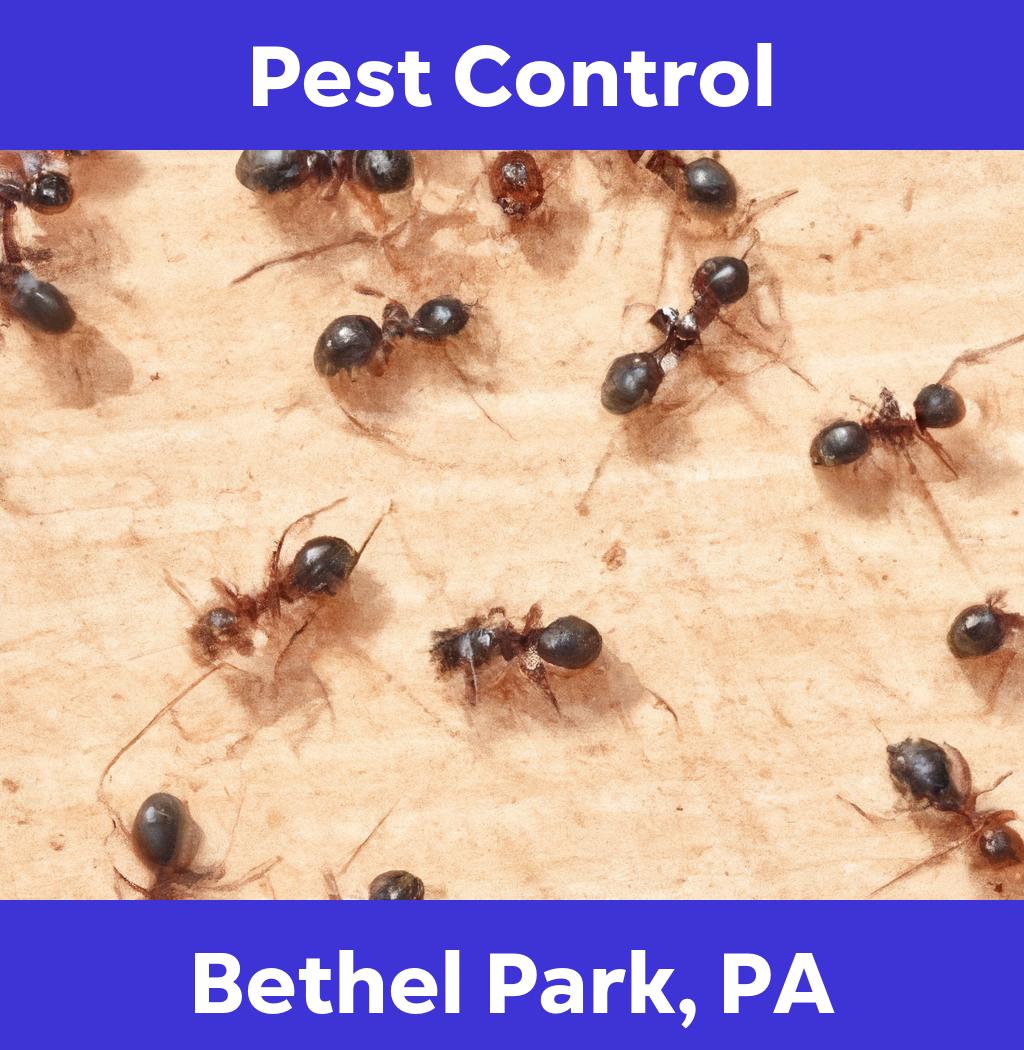 pest control in Bethel Park Pennsylvania