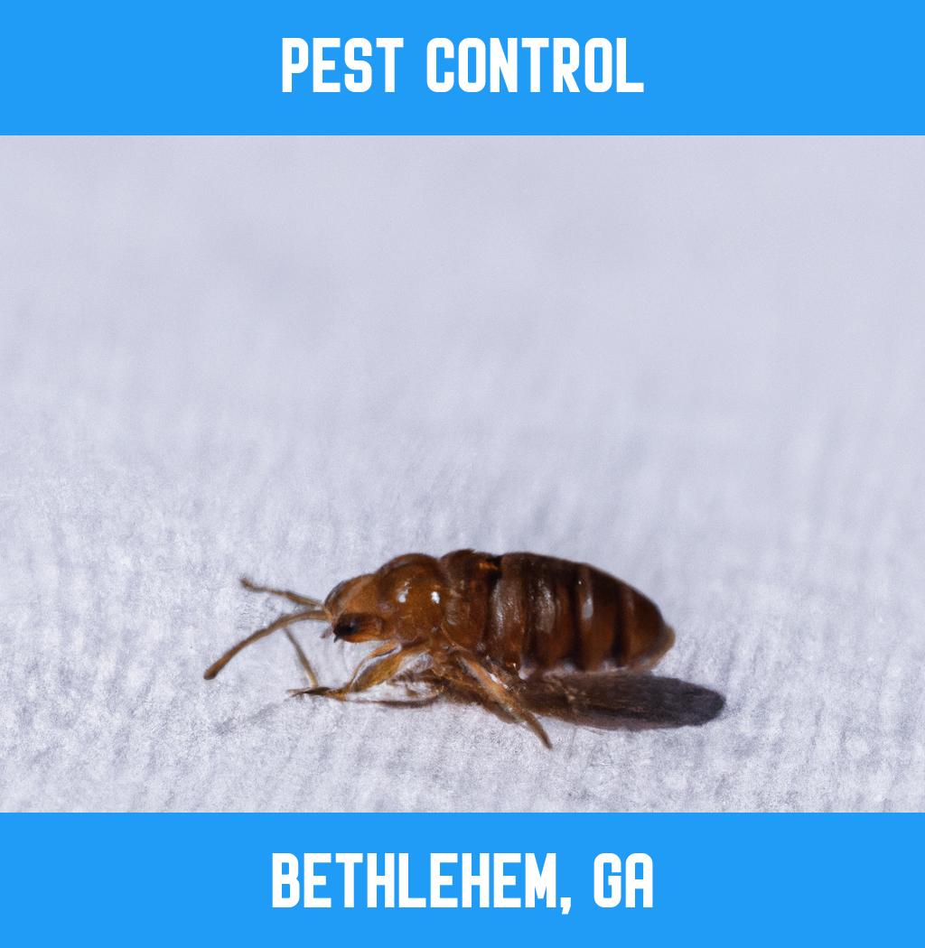 pest control in Bethlehem Georgia