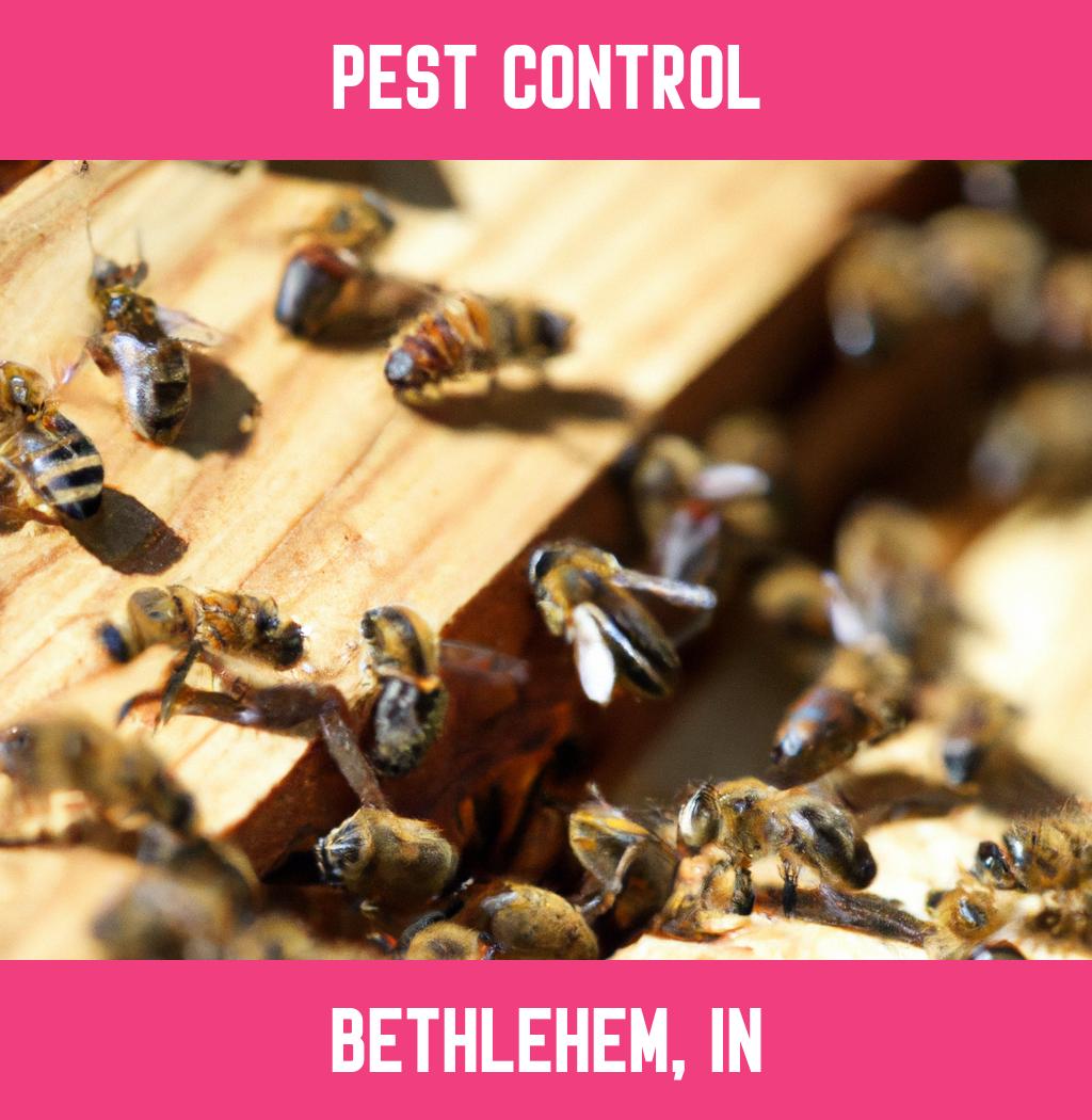 pest control in Bethlehem Indiana