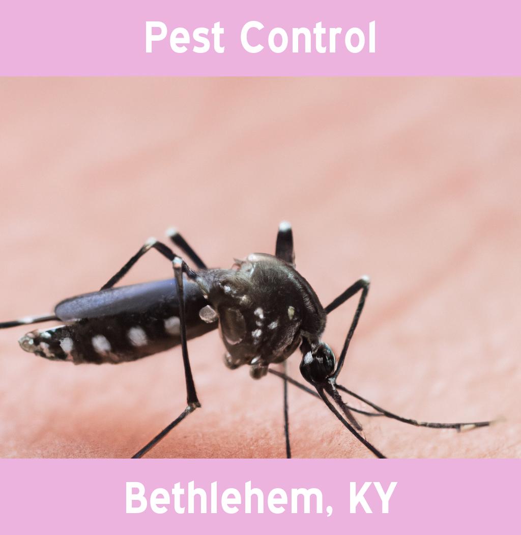 pest control in Bethlehem Kentucky