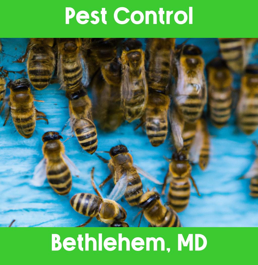 pest control in Bethlehem Maryland