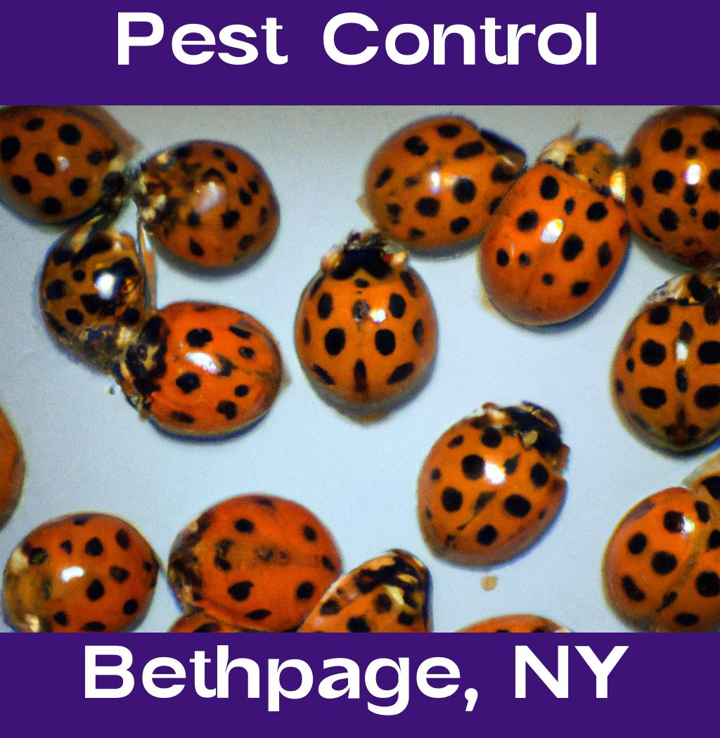 pest control in Bethpage New York