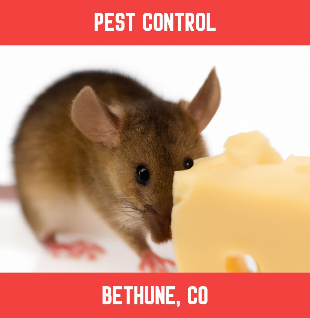 pest control in Bethune Colorado