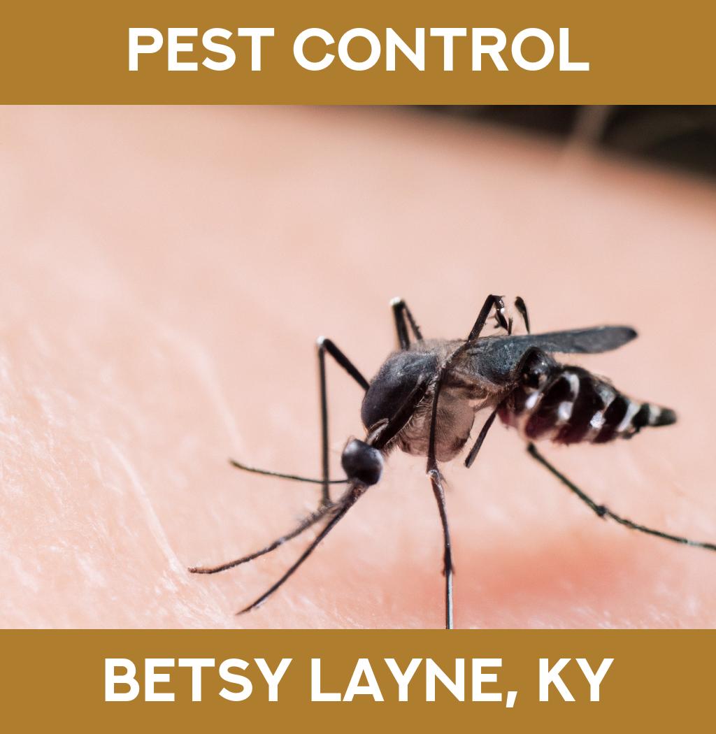 pest control in Betsy Layne Kentucky