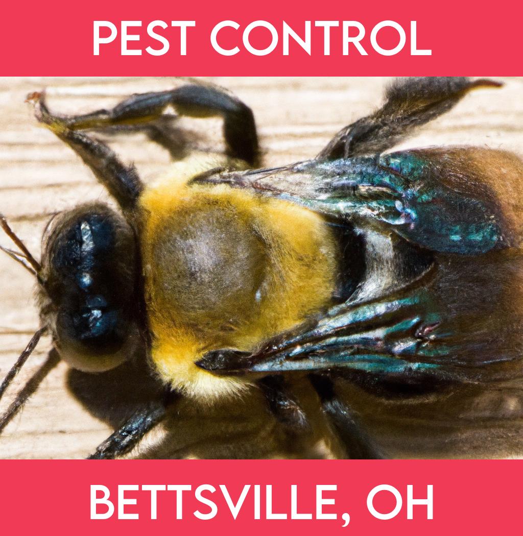 pest control in Bettsville Ohio