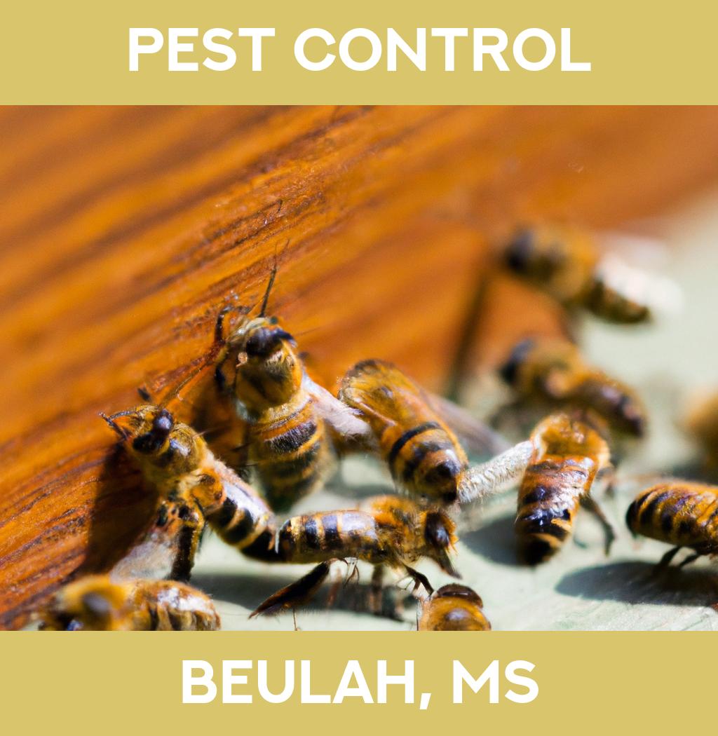 pest control in Beulah Mississippi