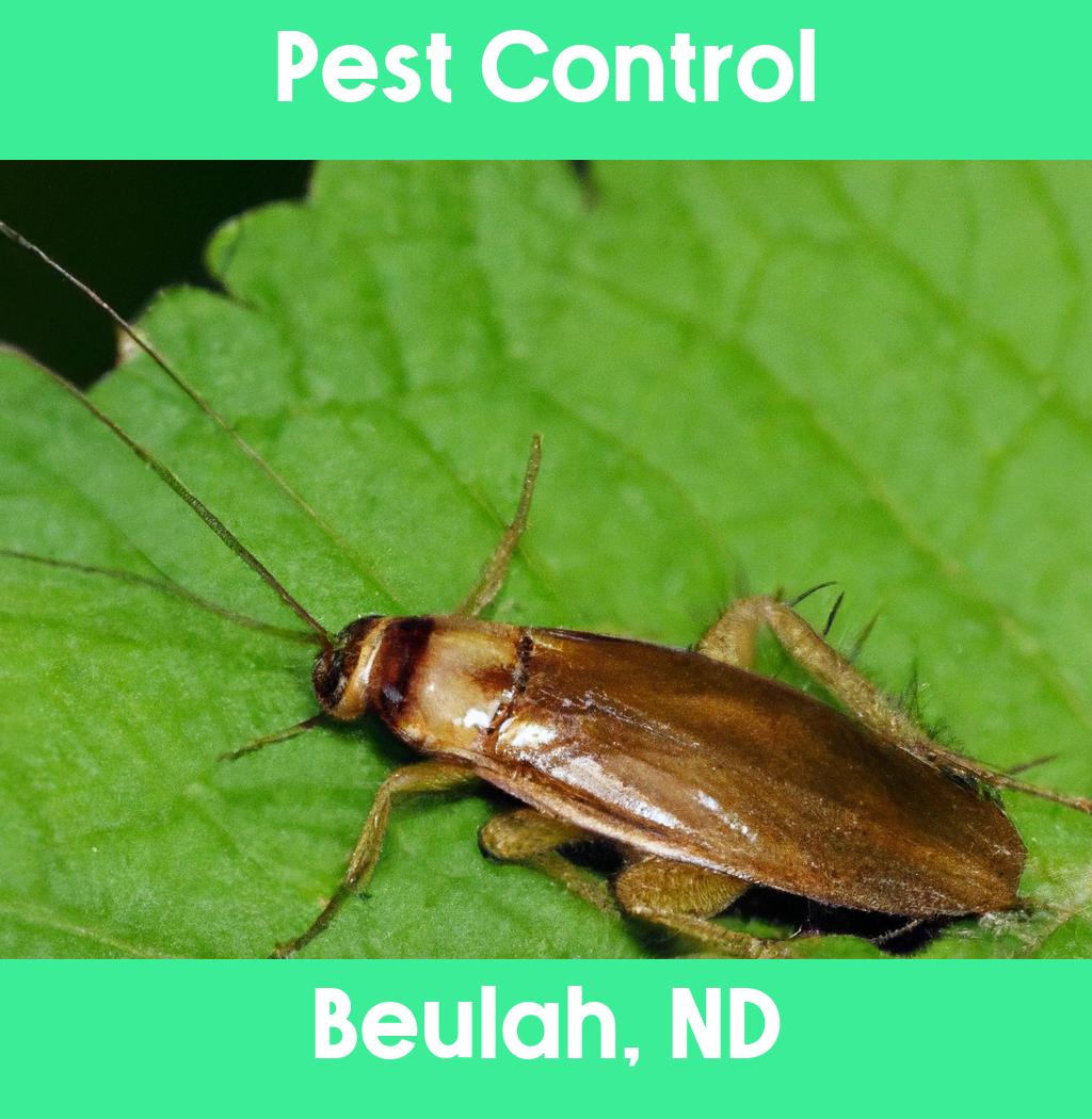 pest control in Beulah North Dakota