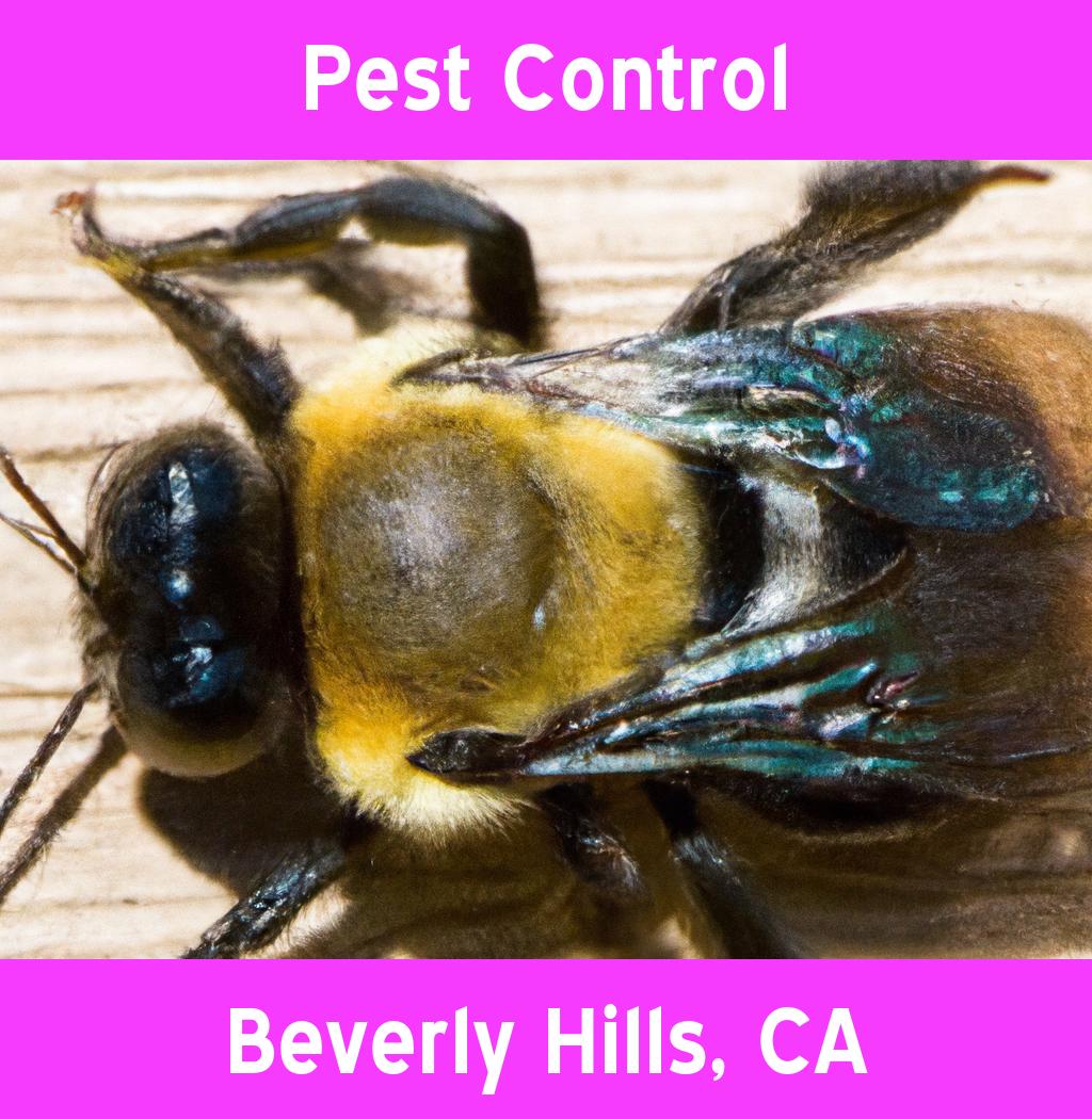 pest control in Beverly Hills California