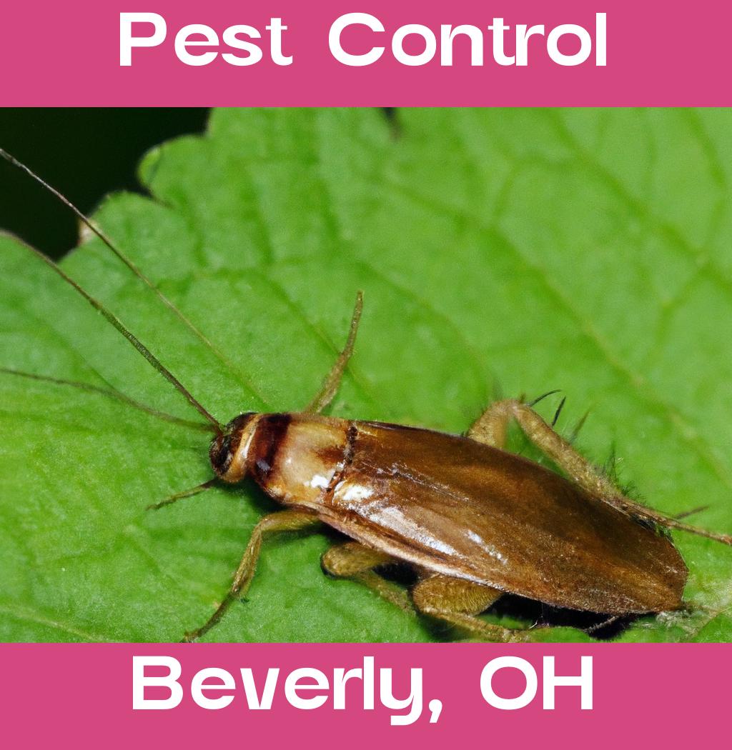 pest control in Beverly Ohio