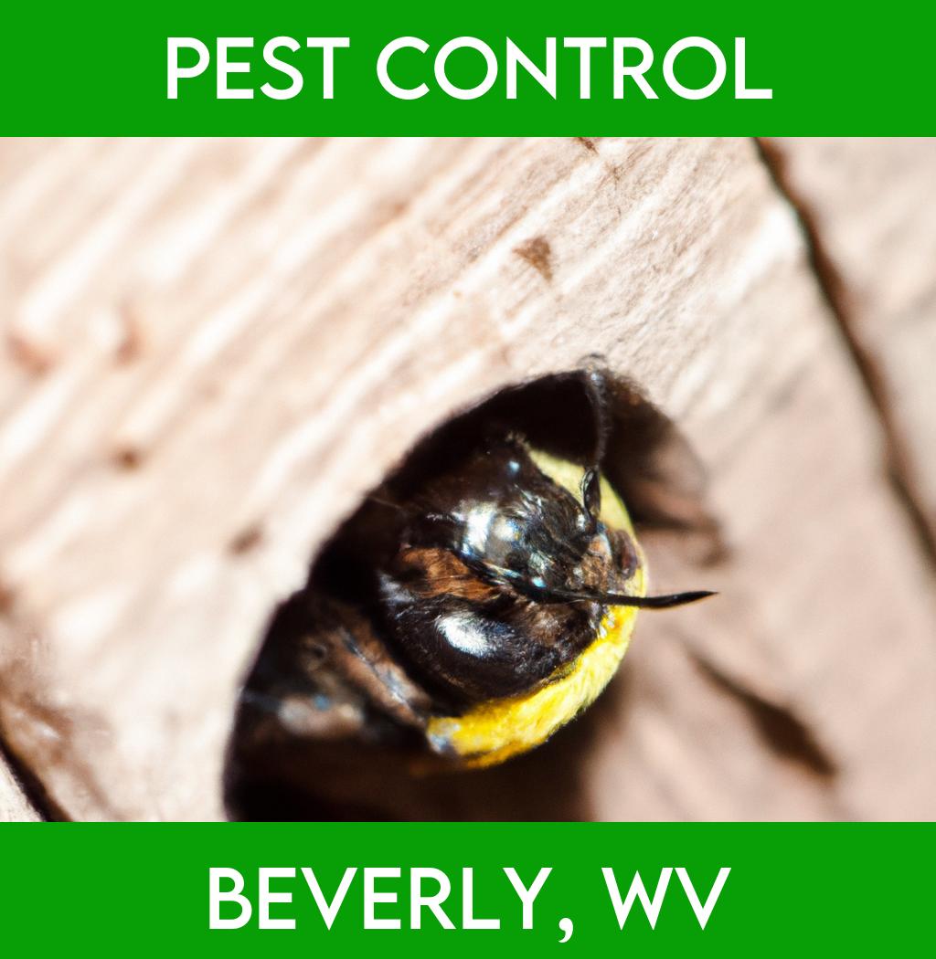 pest control in Beverly West Virginia