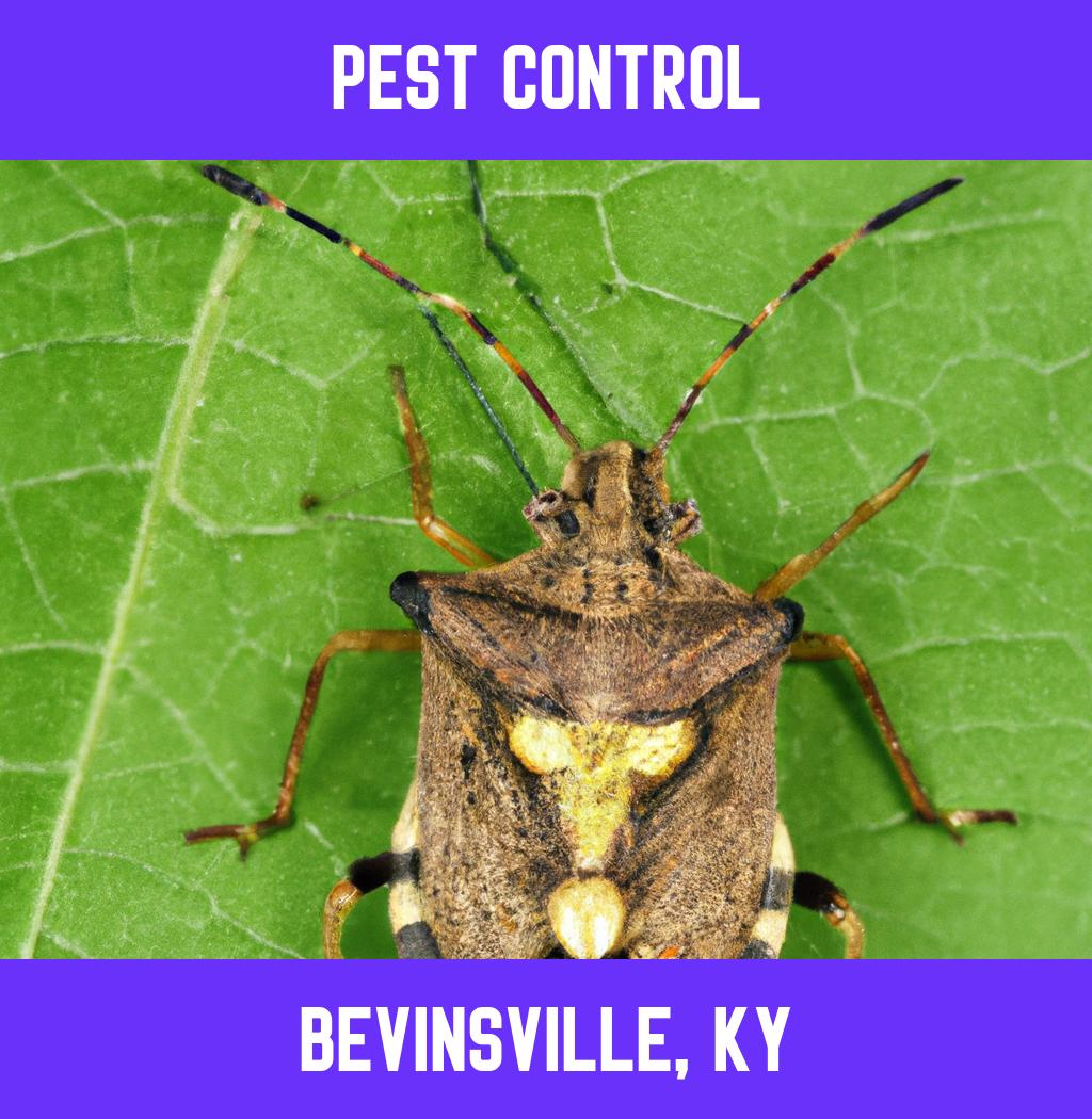 pest control in Bevinsville Kentucky