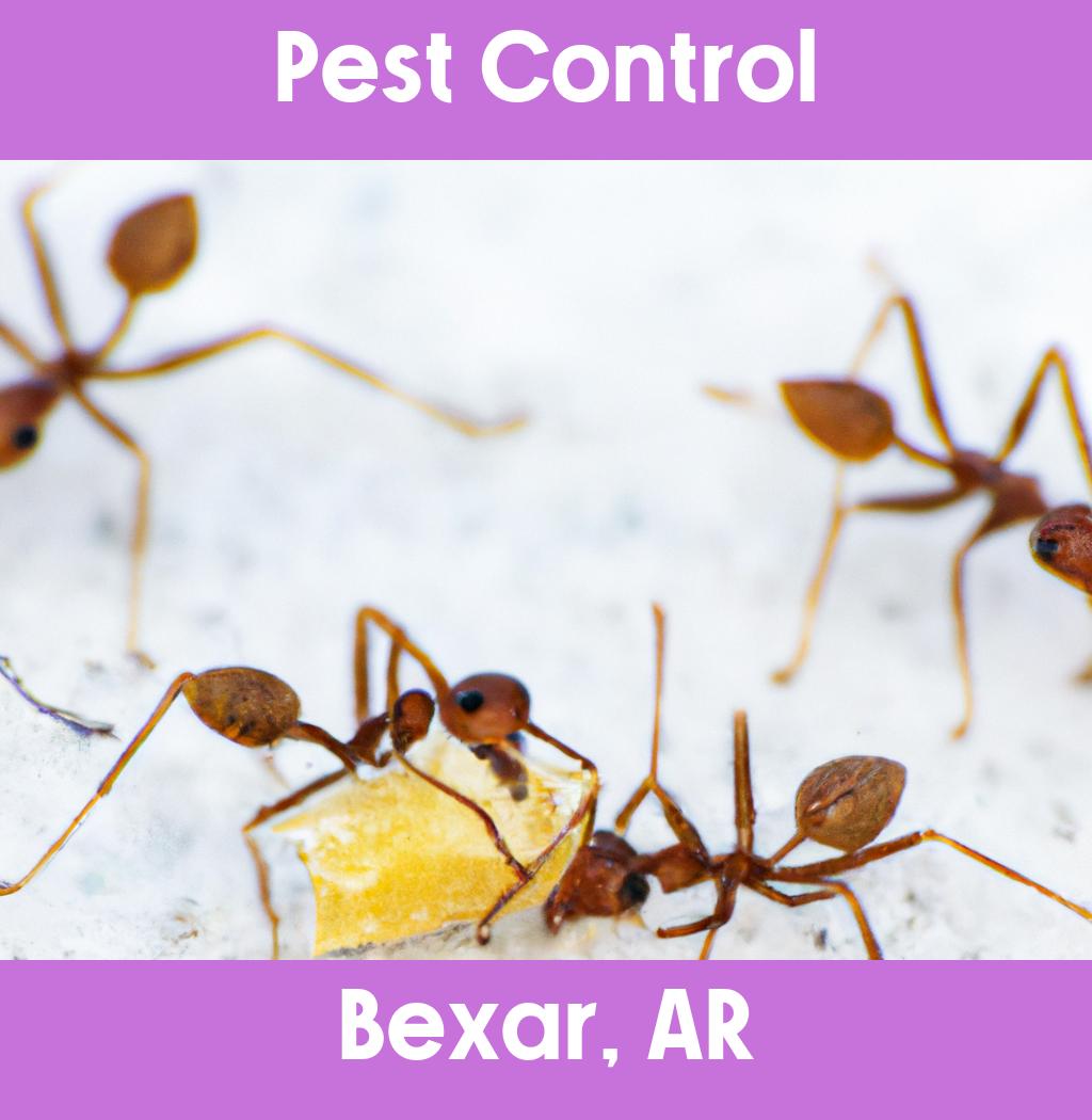 pest control in Bexar Arkansas