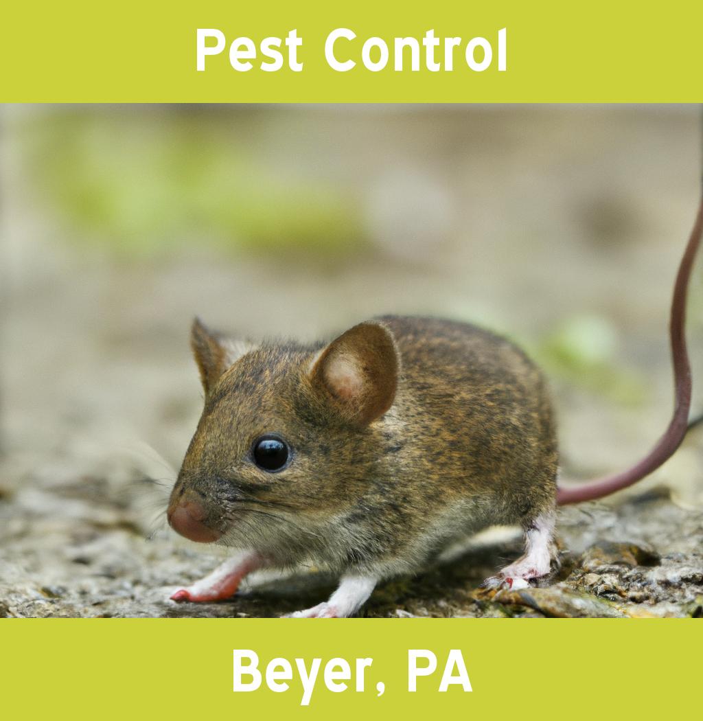 pest control in Beyer Pennsylvania