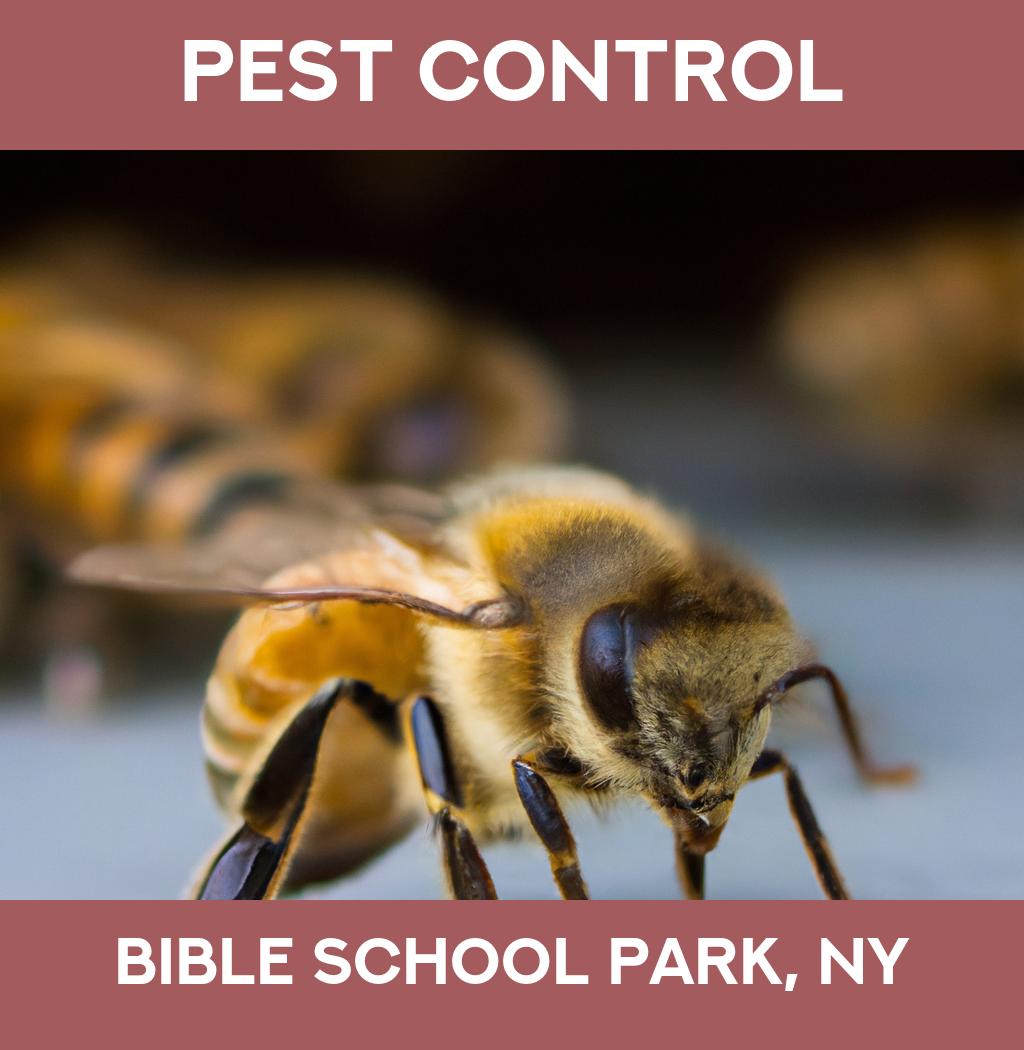pest control in Bible School Park New York