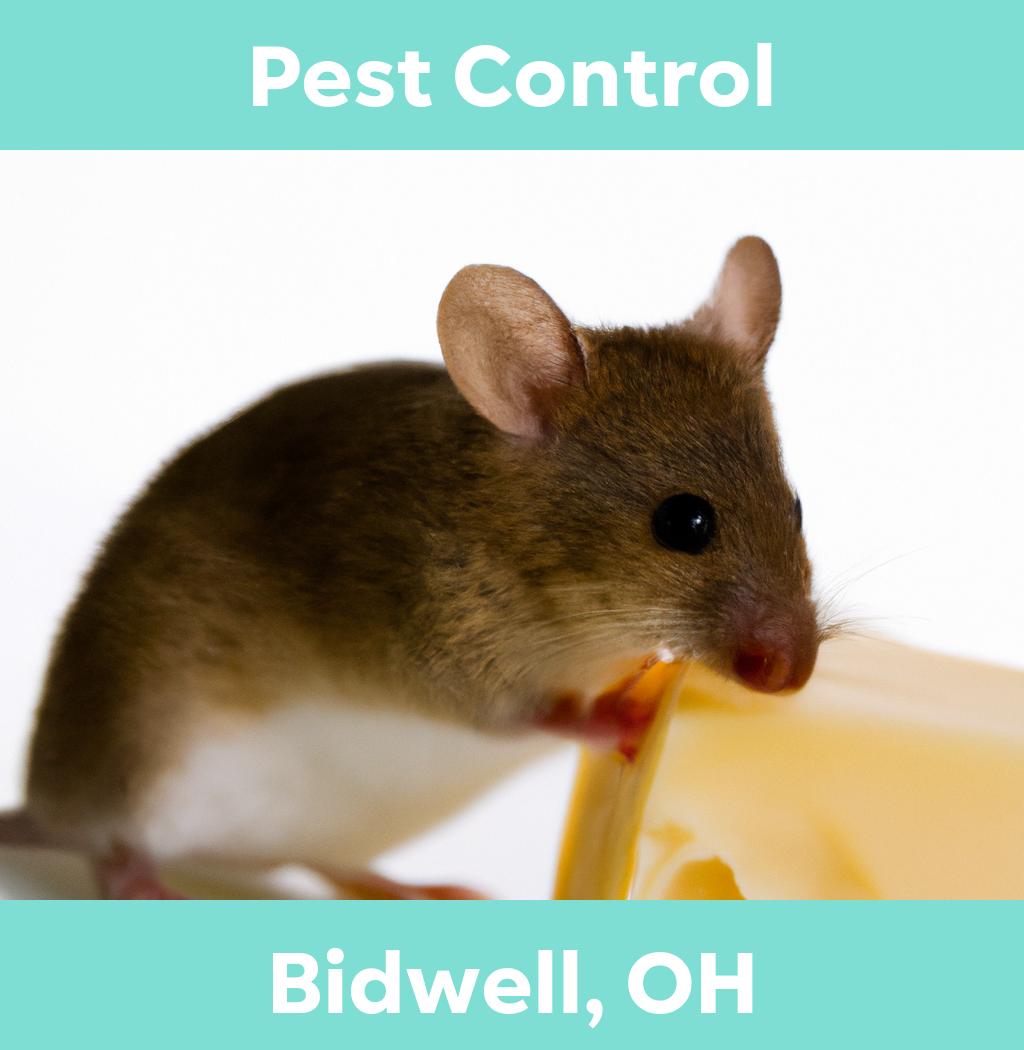 pest control in Bidwell Ohio