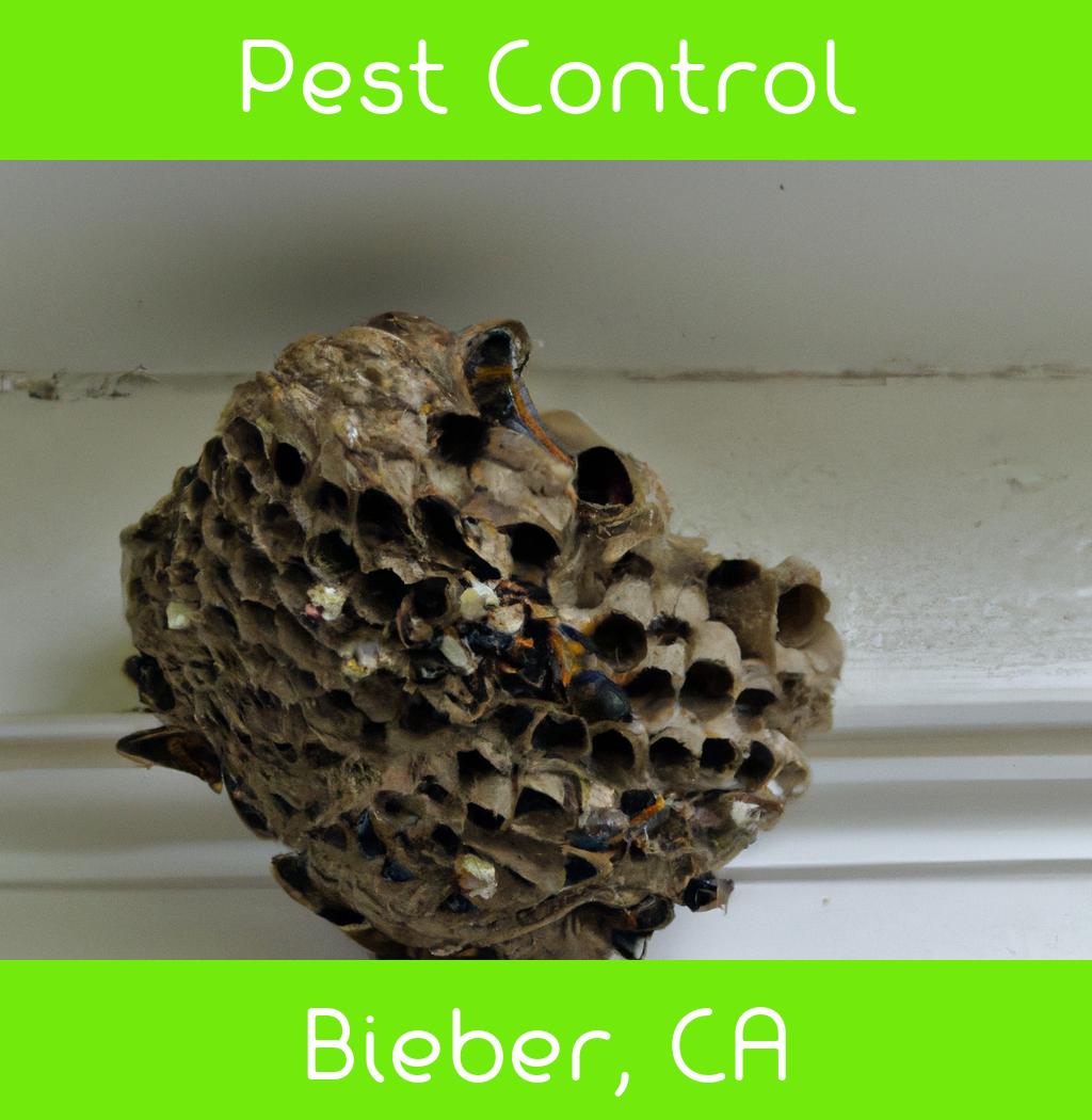 pest control in Bieber California