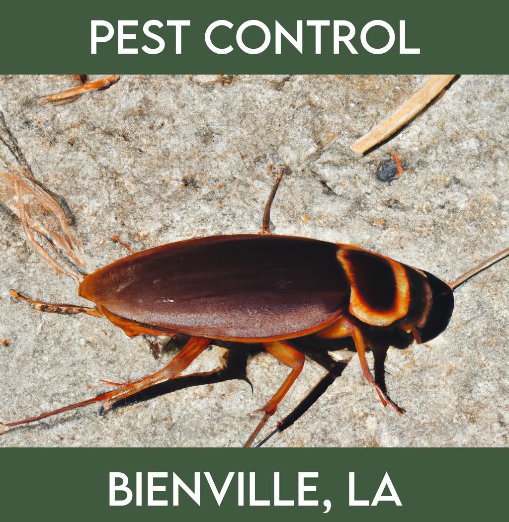 pest control in Bienville Louisiana