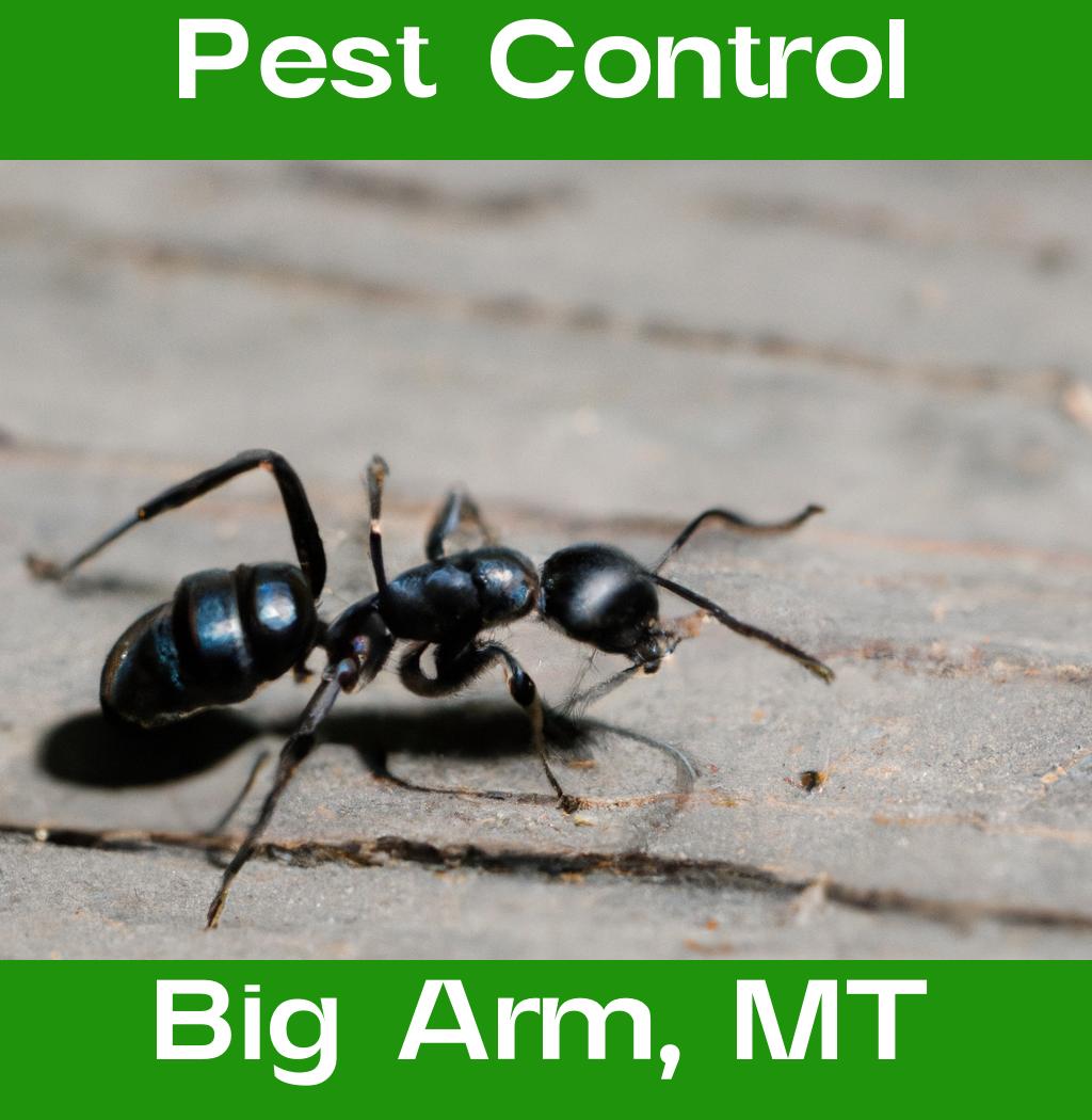 pest control in Big Arm Montana