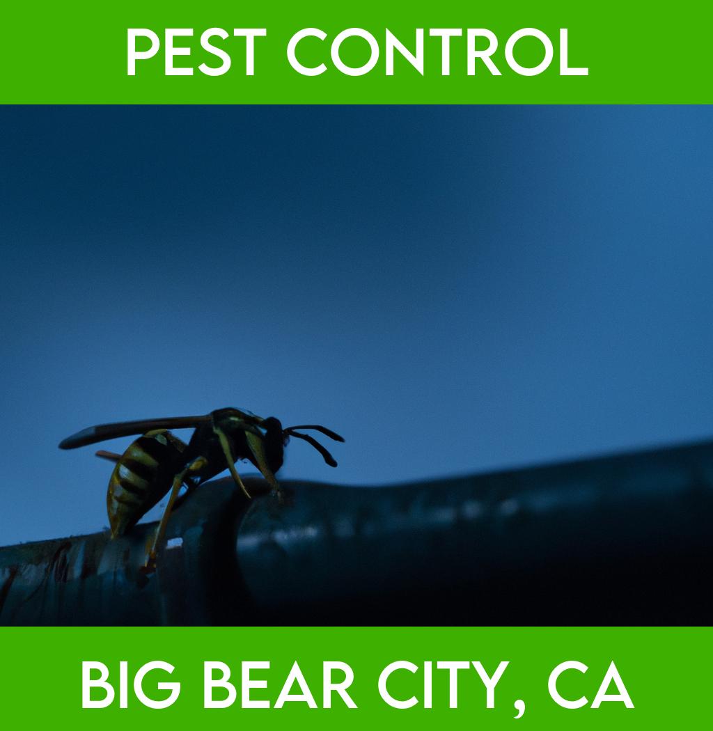 pest control in Big Bear City California