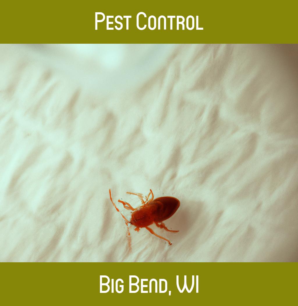 pest control in Big Bend Wisconsin