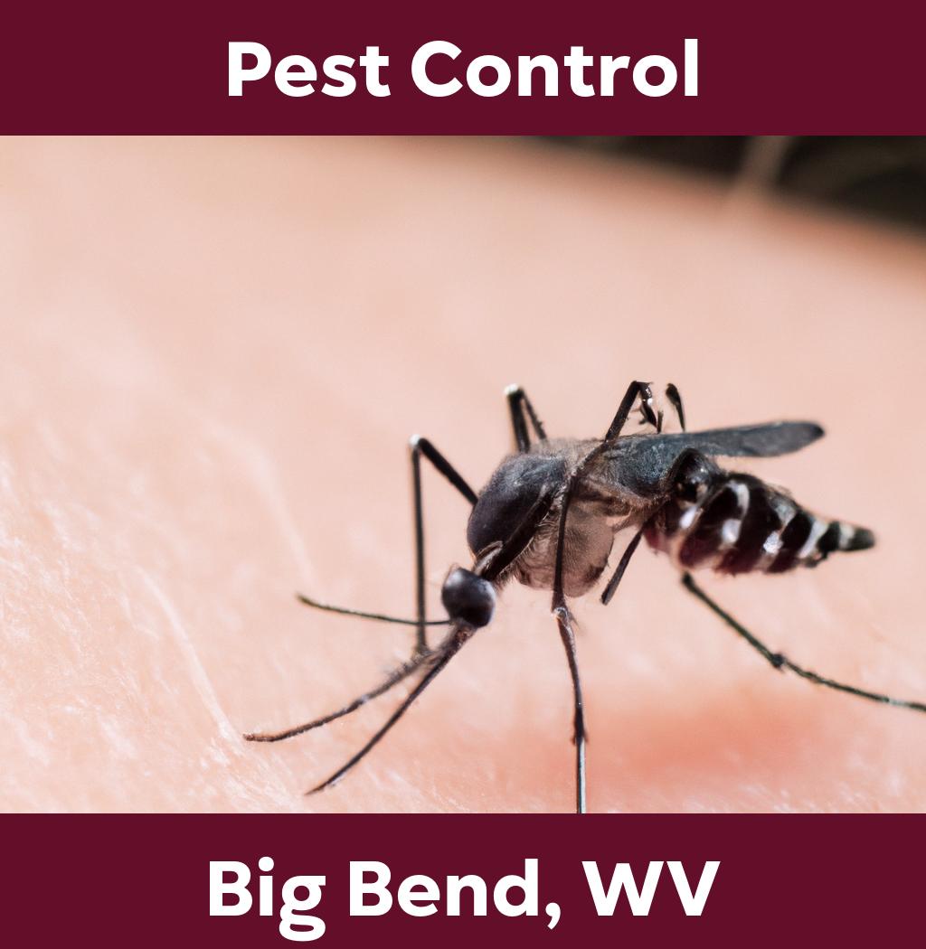 pest control in Big Bend West Virginia